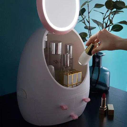 Egg-Shaped Storage Organizer