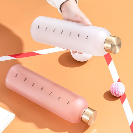 Stylish Froast Water Bottle