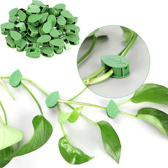 10pc Leaf Shape Plant Holder