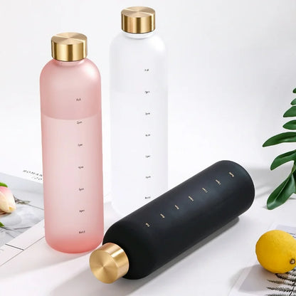 Stylish Froast Water Bottle