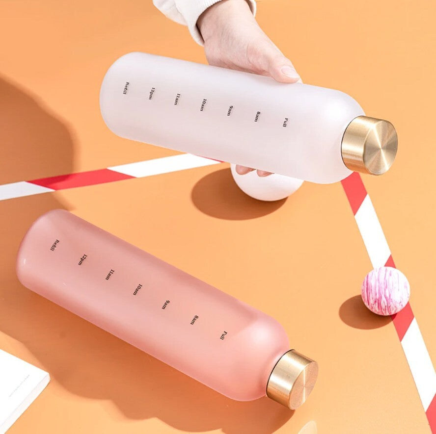 Stylish Froast Water Bottle